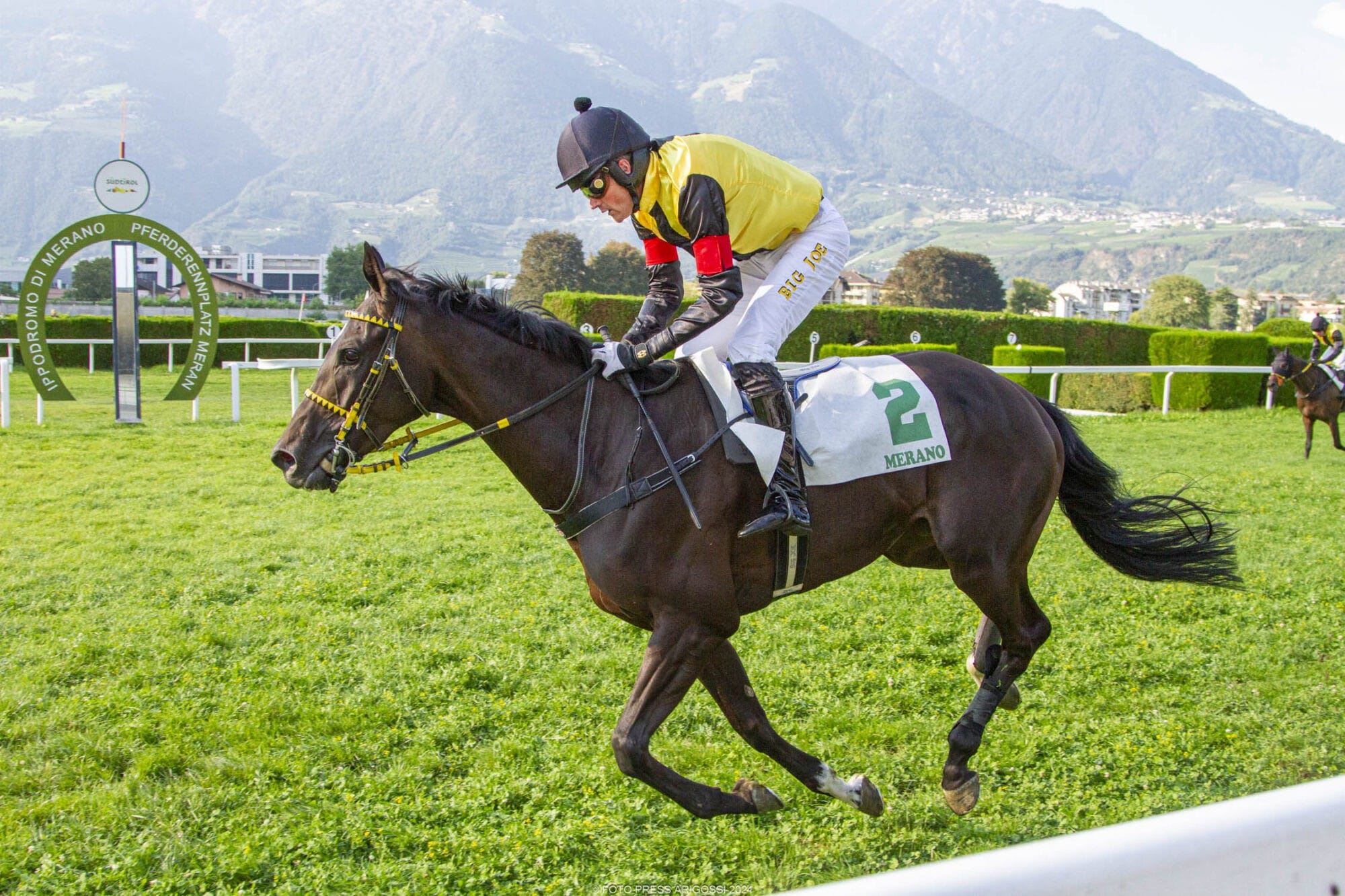 Doppelsieg für Rennstall Aichner mit Madrilene und Krokodile Dundee im Preis Piero & Franco Richard