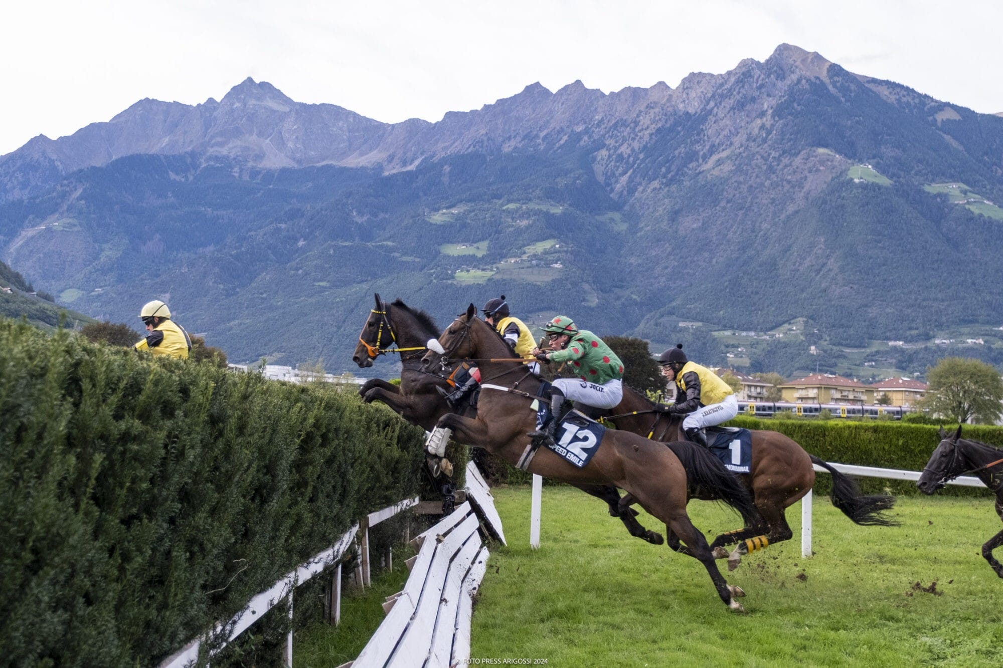 Nach dem großen sportlichen – und Publikumserfolg des Turfwochenendes des Großen Preises, steht am Sonntag, 6. Oktober der vorletzte Renntag der Turfsaison