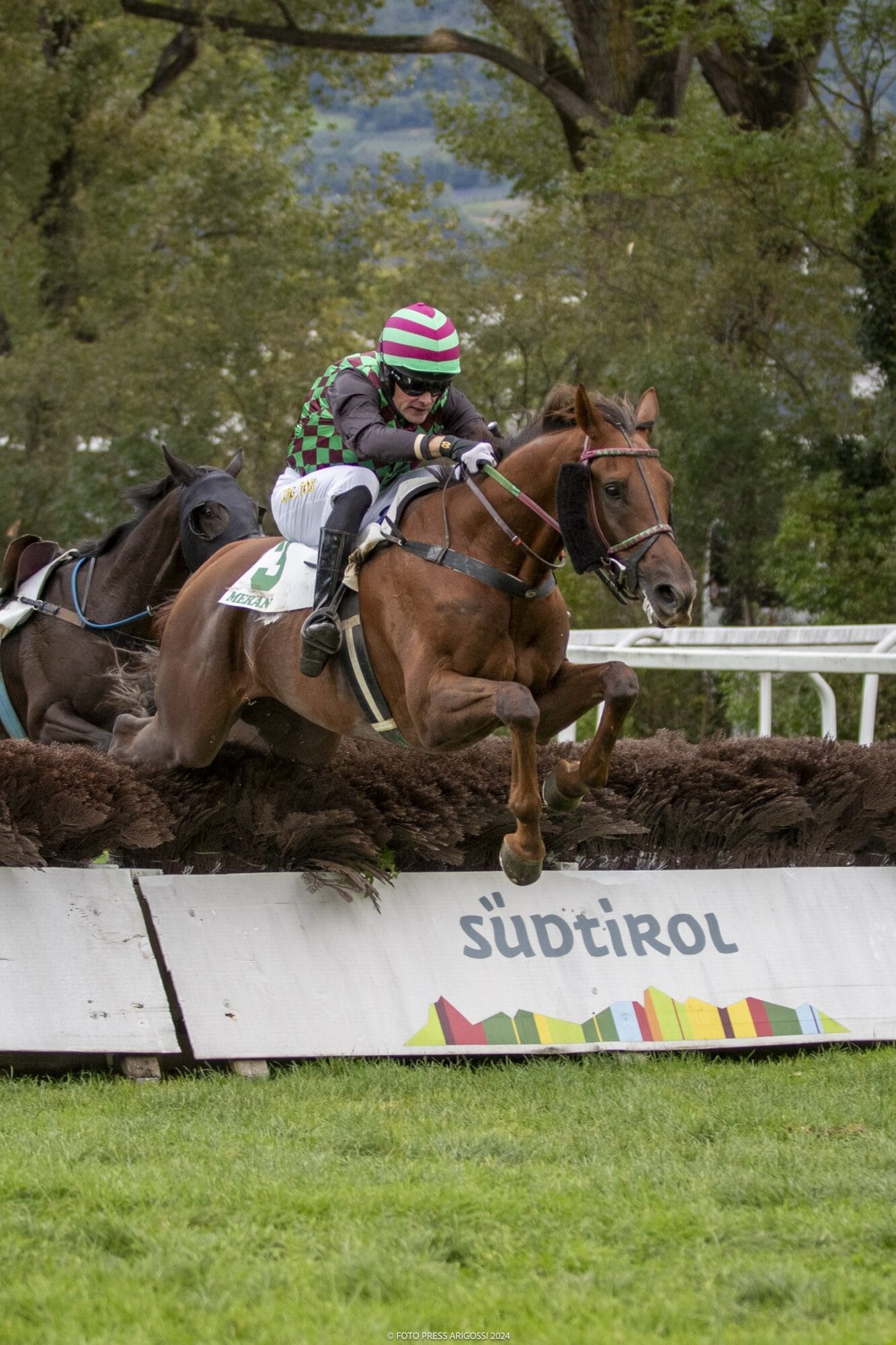 Doppelsieg für Ginger And Lemon und Vesuvio im Preis Pizzeria Ladurn