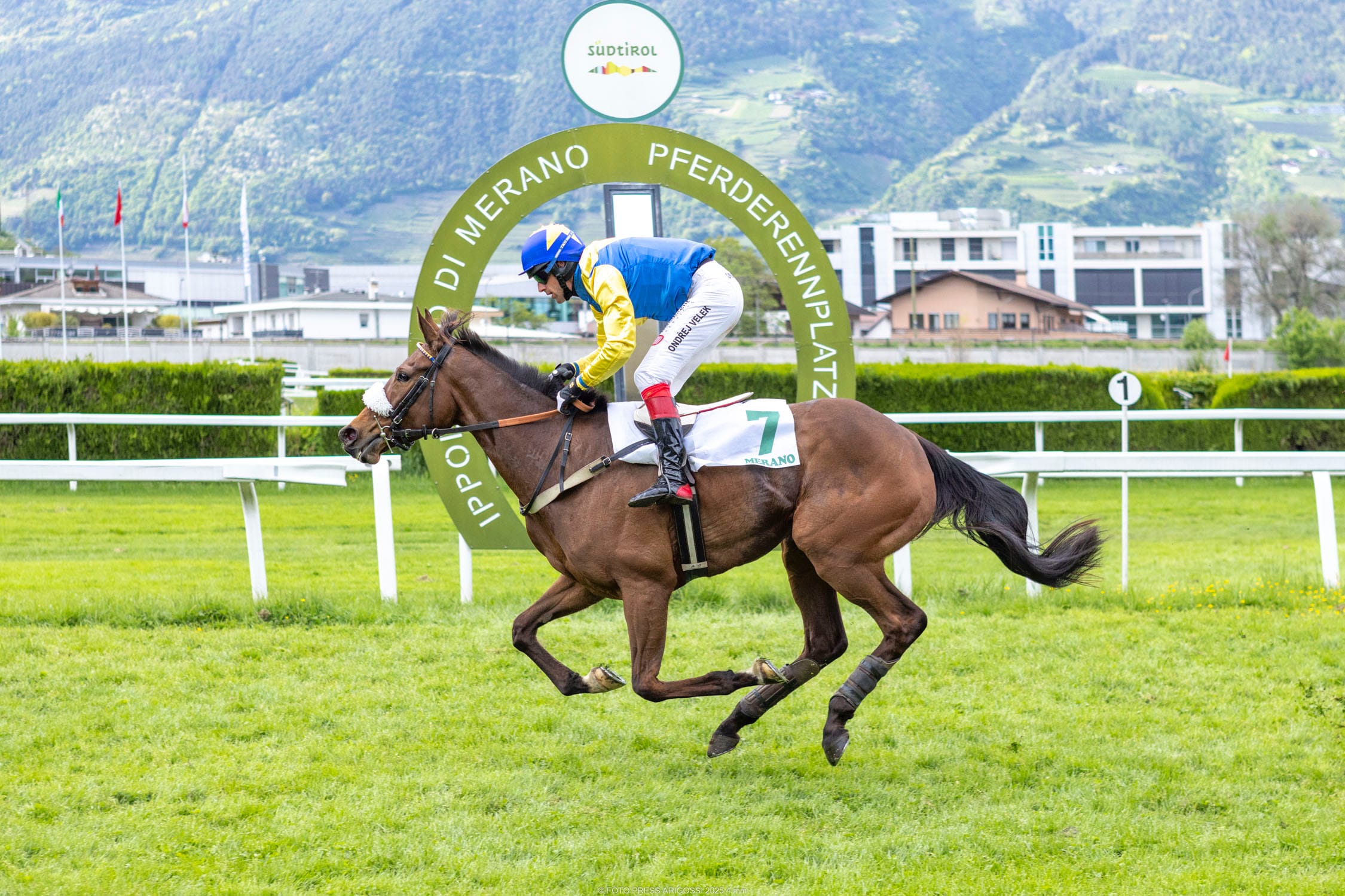 Die Stute Whirl Wind Girl siegt im Preis Piero Santoni