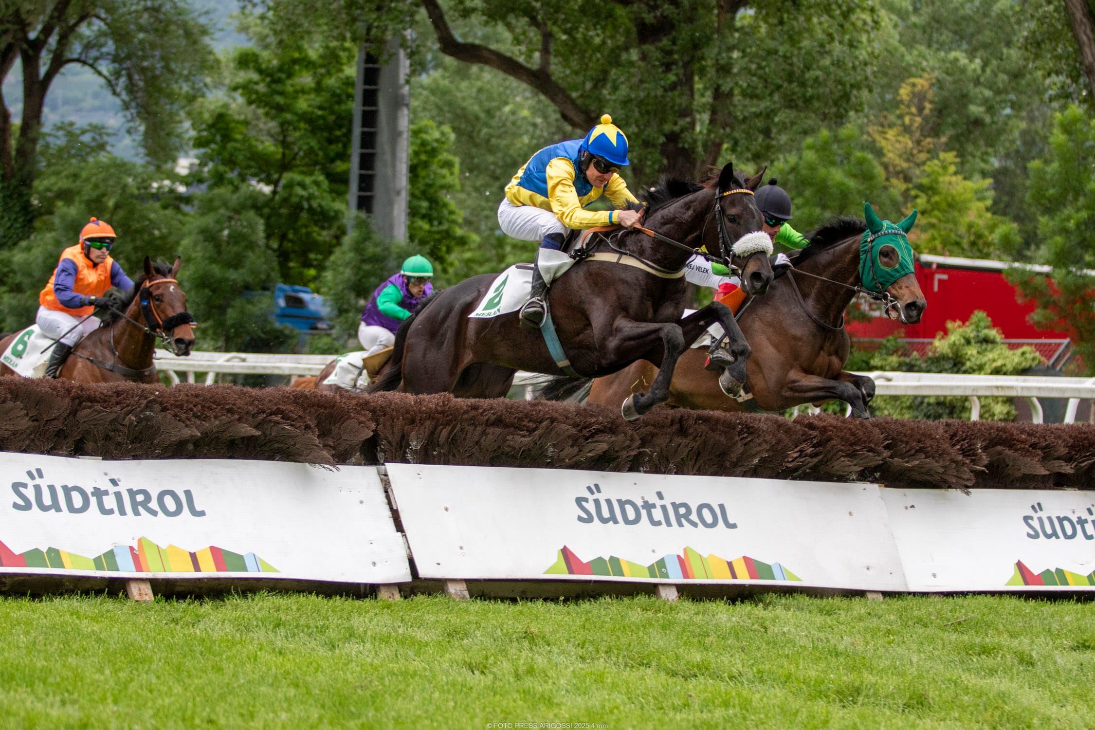 Alle sollten sich diesen Maia-Sonntag nicht entgehen lassen. Es gibt Vollblüter und Haflinger, es gibt Spektakel und es gibt Technik