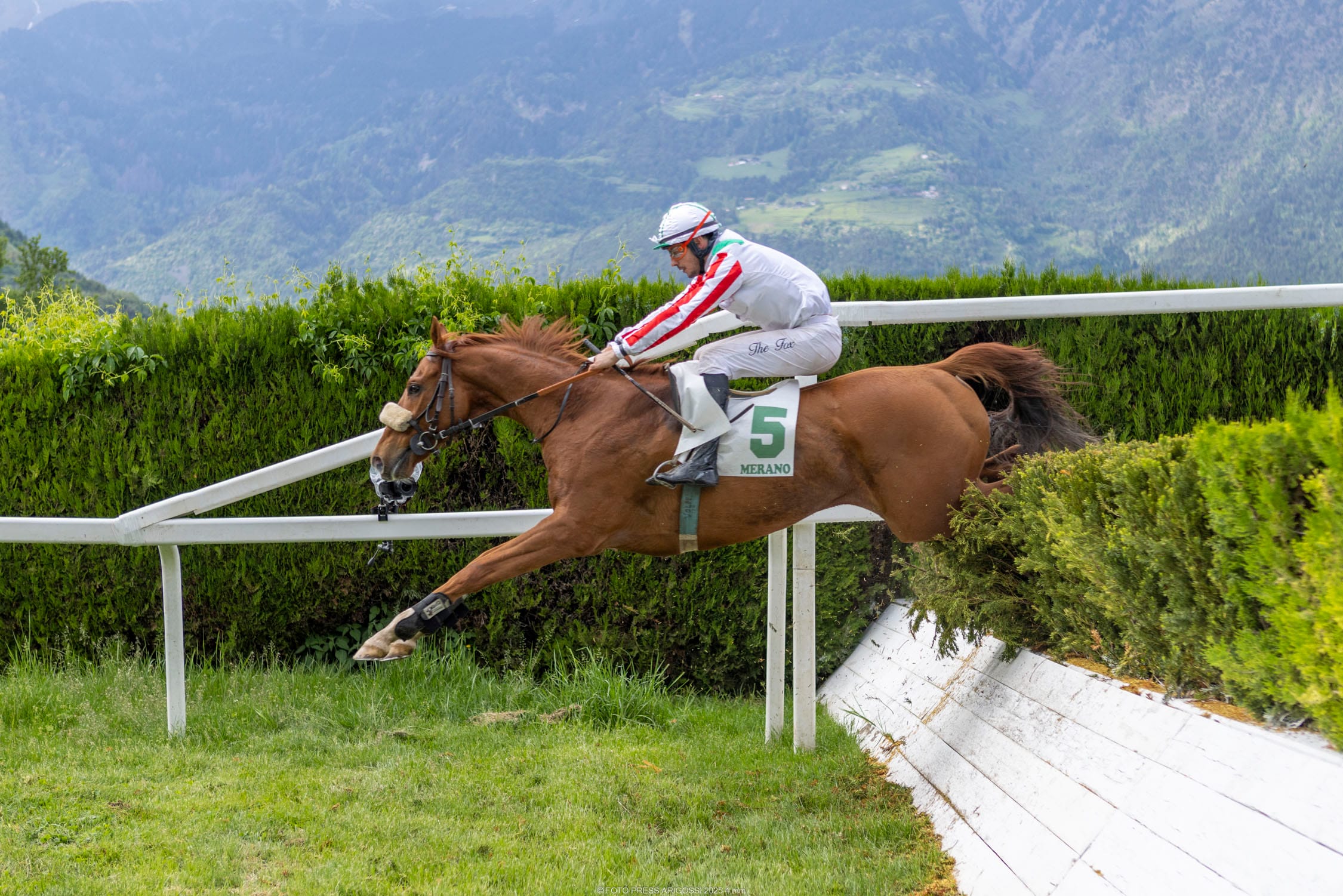 Das Hauptereignis des Tages war dem EMHF gewidmet und fand den mit Spannung erwarteten und würdigen Sieger in Sopran Pechino