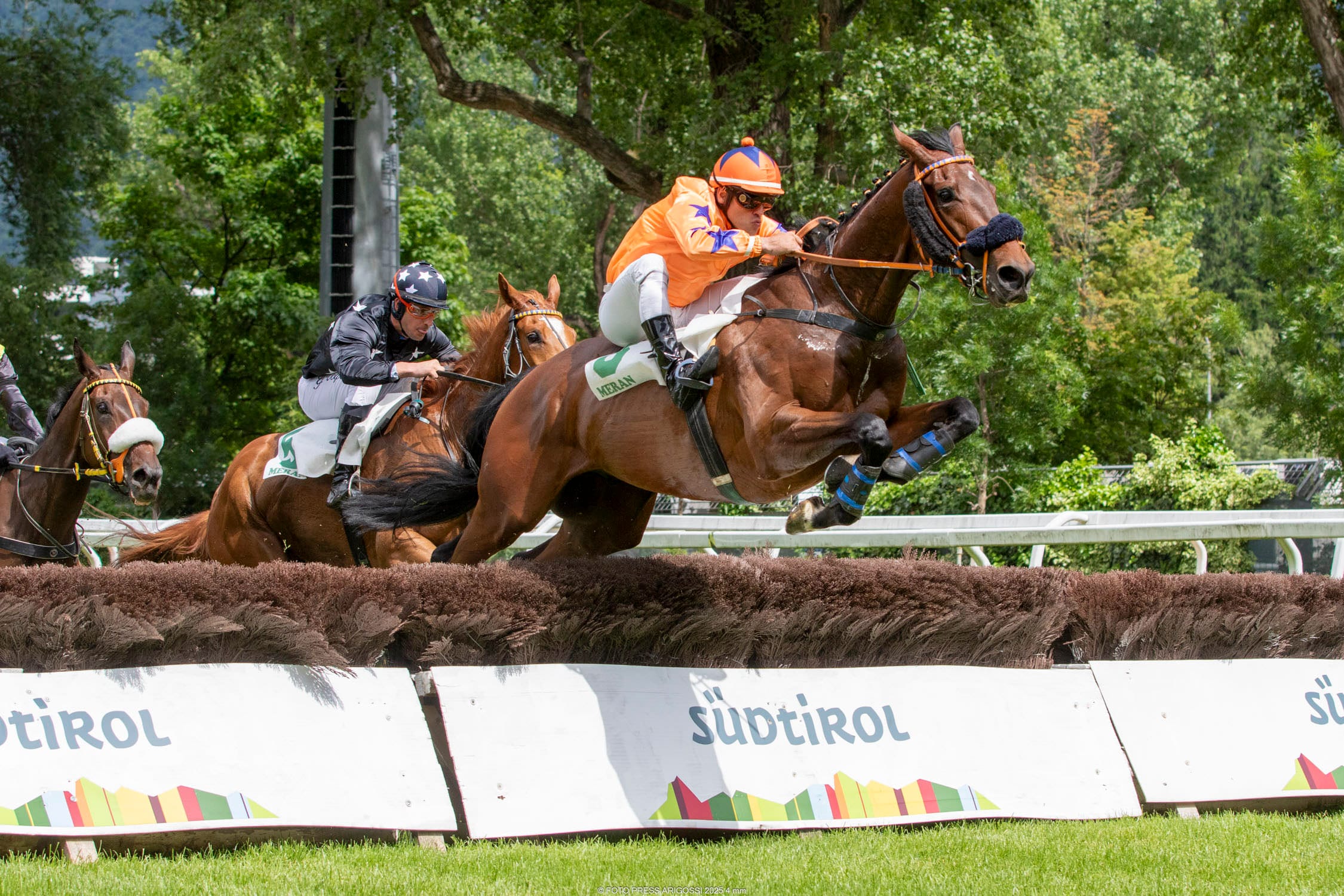 Der große Tag des Steeple Chase in Maia sieht an diesem Sonntag den Grande Steeple Chase d’Europa