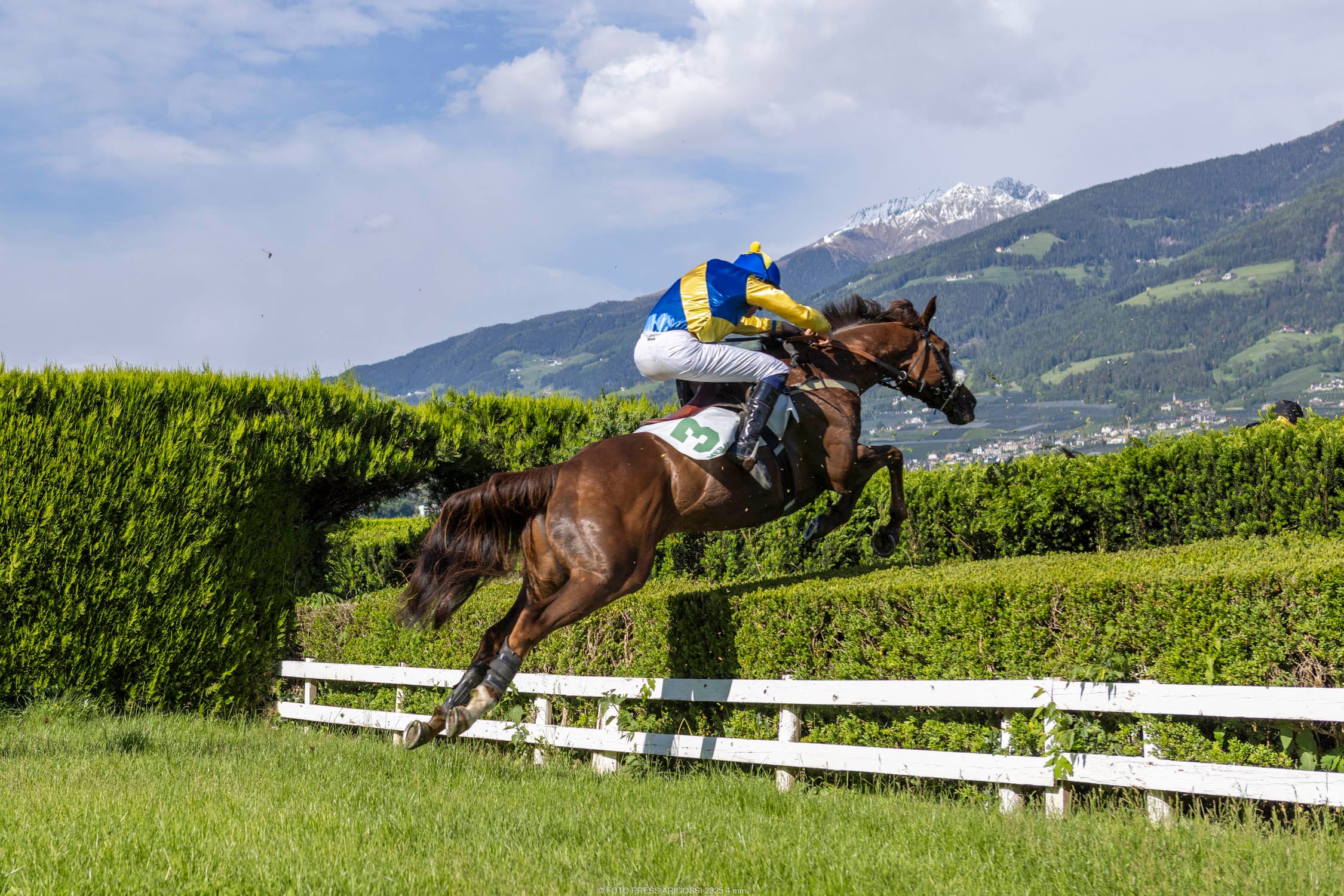 First of All – der Champion ist zurück: Glanzvoller Sieg nach einem Jahr Pause