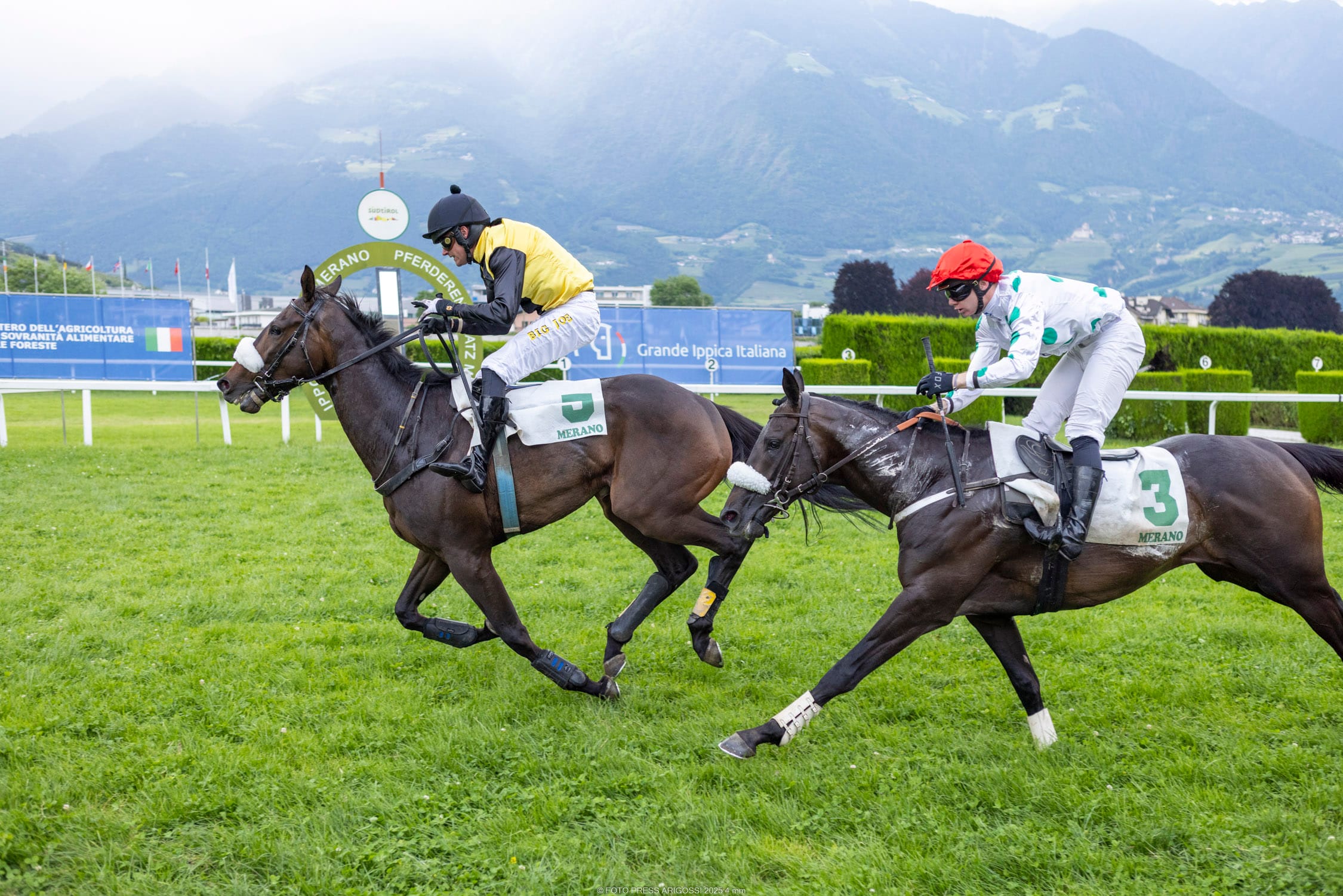 Hurricane-Aichner auf Maia, vier Teilnahmen und vier Siege