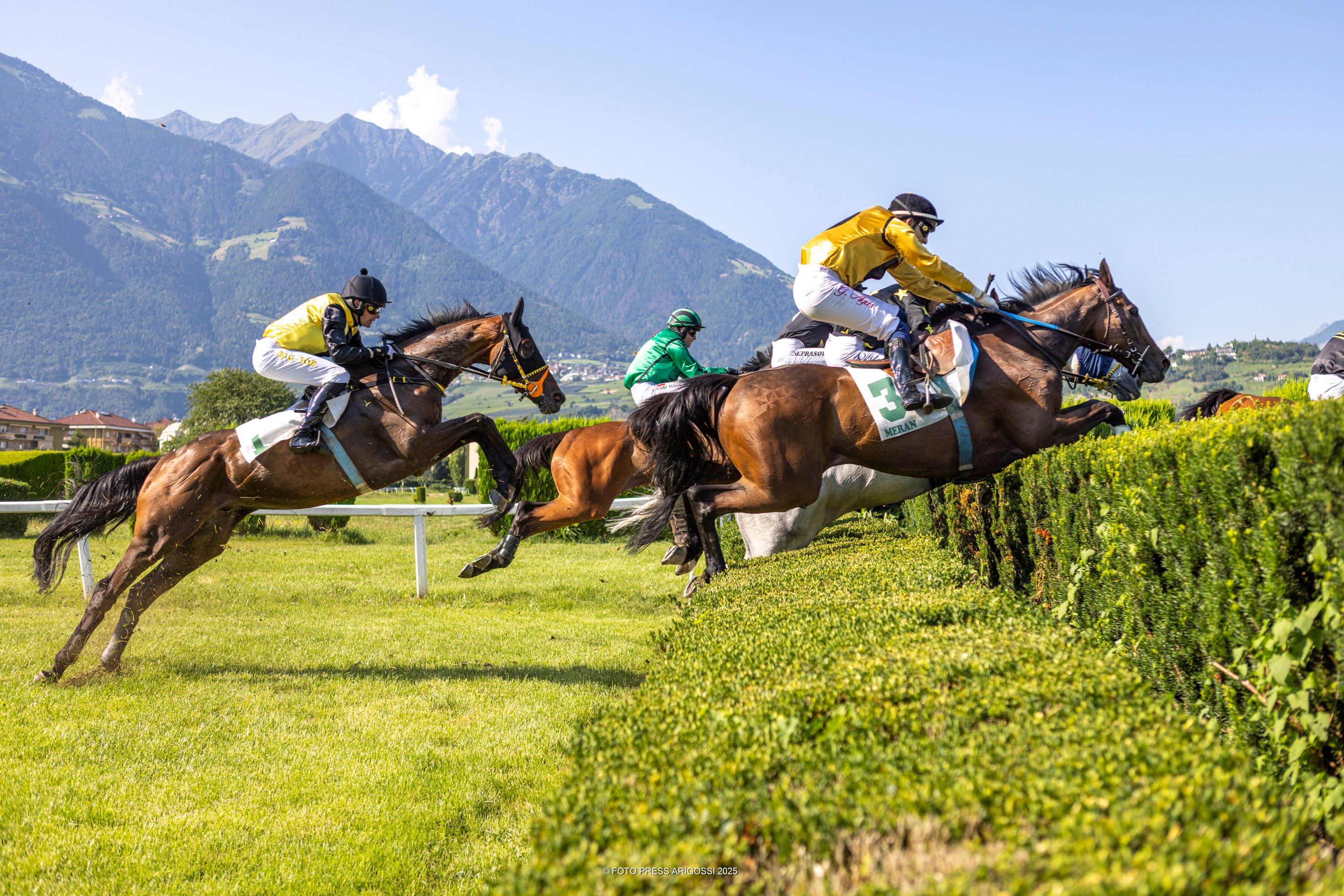 Die Galopprennbahn von Maia beendet den ersten Teil ihrer Saison 2025 mit einem gelungenen Renntag