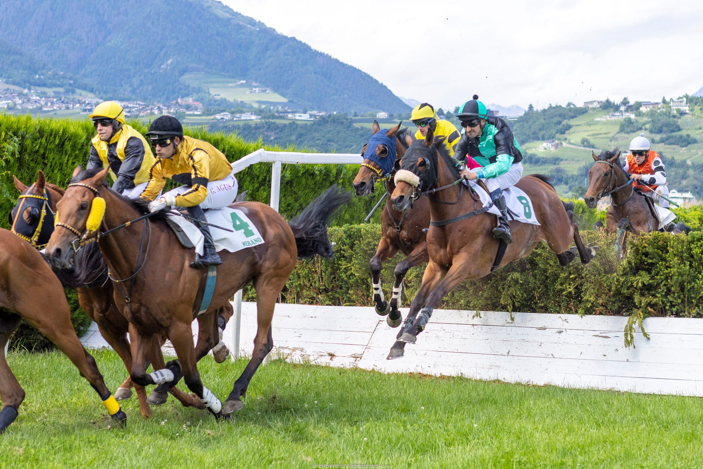 Am Sonntag, im Mittelpunkt des Programms steht das Criterium di Primavera, ein Gruppe-2-Rennen über Hürden für 4-Jährige.