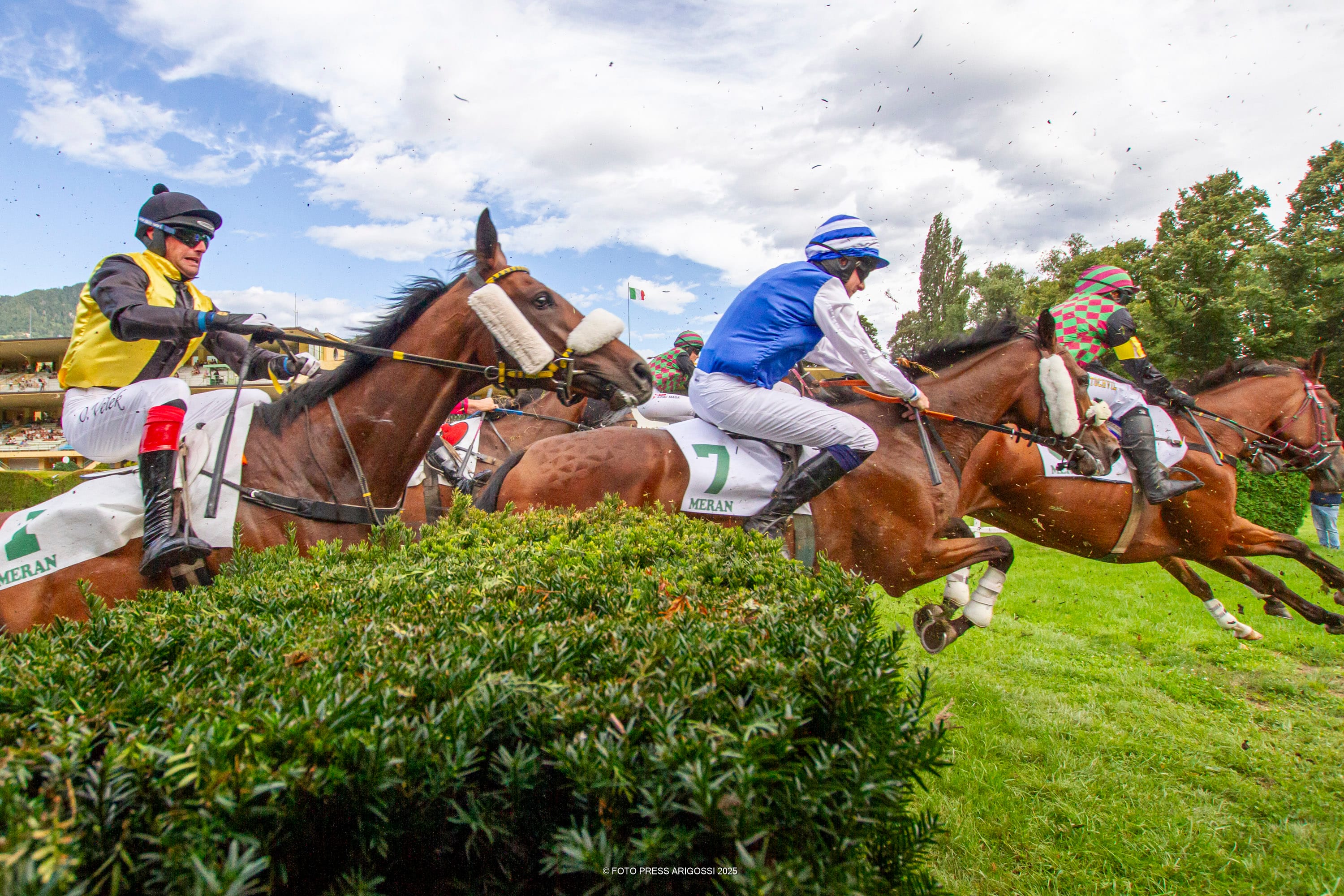 Wir präsentieren .. das Maia Ferragosto Turf Festival!
