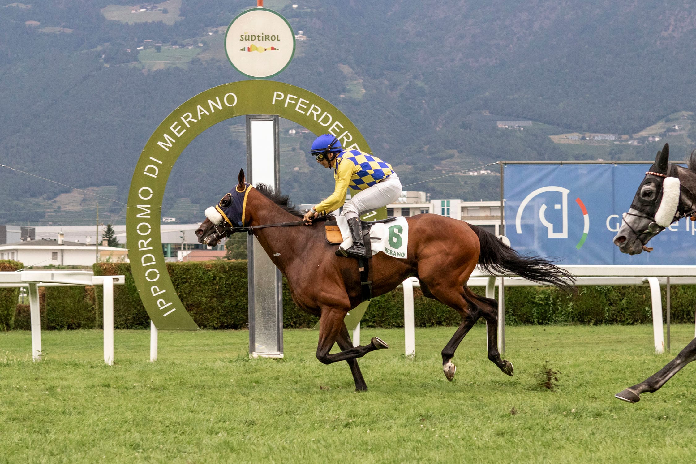 Zar Bitter, der fünfjährige Schützling von Stefano Botti, setzte sich durch