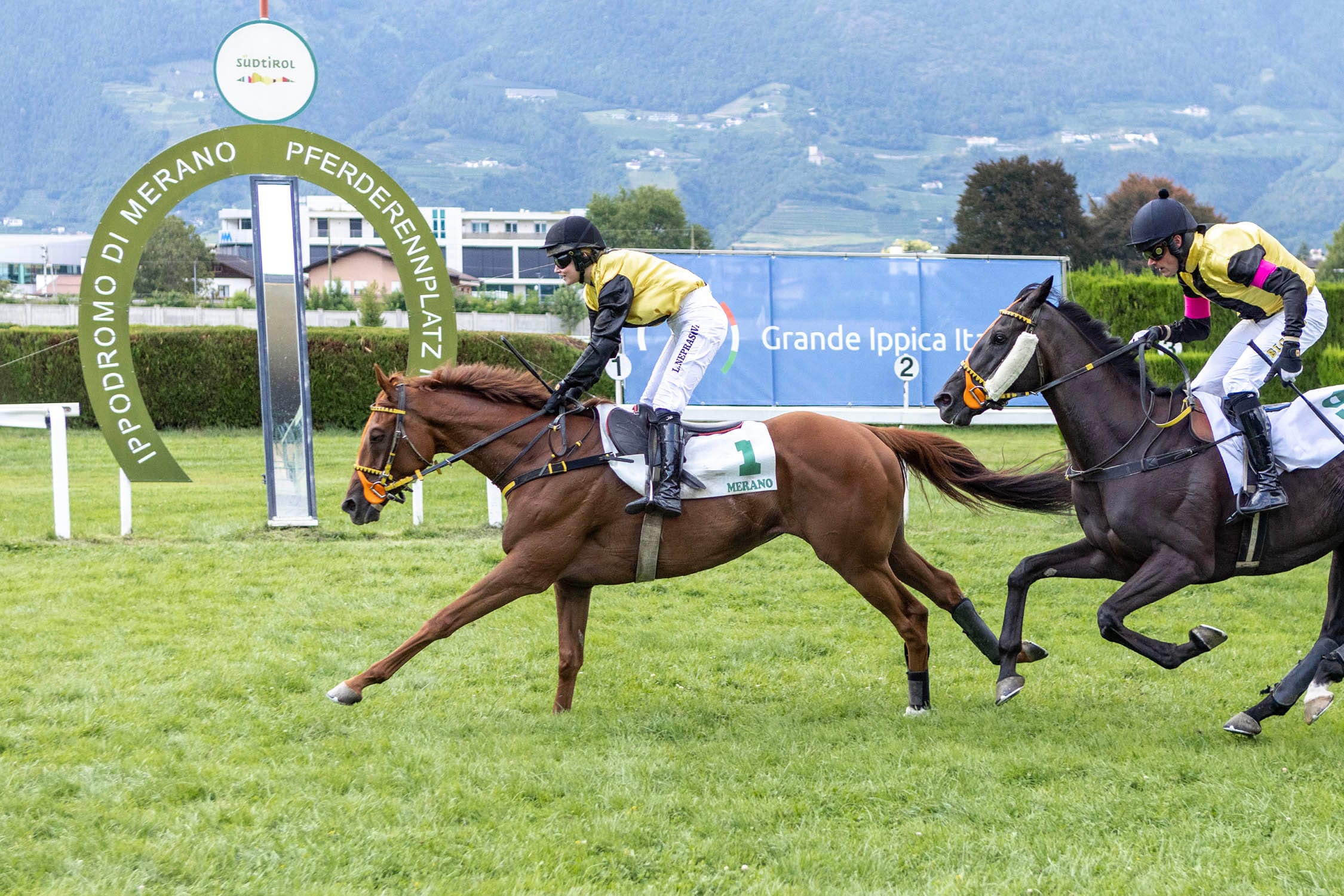 Billy Jango bestätigte sich als mögliches Erstserien-Talent